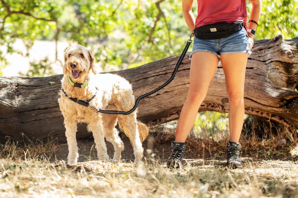 OneTrail Hands Free Dog Leash | Durable Bungee Leash With No-Bounce Pack | For Men & Women | Pouch Fits All Large Cell Phones | Fits up to 50" Waist | Perfect For Large, Medium, Or Small Dogs