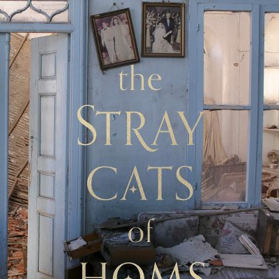 The Stray Cats of Homs: The unforgettable, heart-breaking novel inspired by extraordinary true events