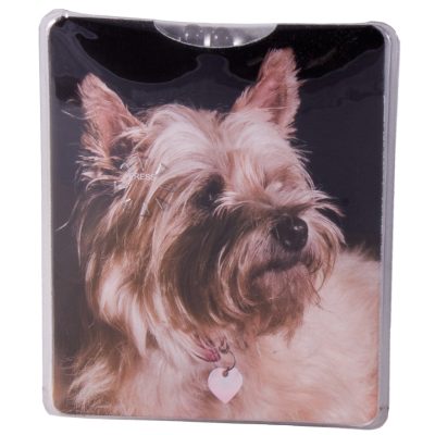 Maranda-Ti Mi Handbag Torch Cairn Terrier, Multicolor