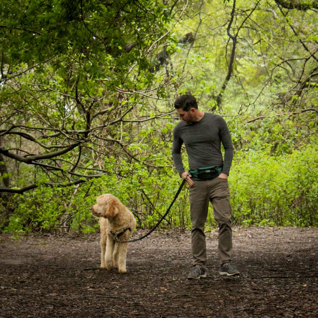 OneTrail Hands Free Dog Leash | Durable Bungee Leash With No-Bounce Pack | For Men & Women | Pouch Fits All Large Cell Phones | Fits up to 50" Waist | Perfect For Large, Medium, Or Small Dogs